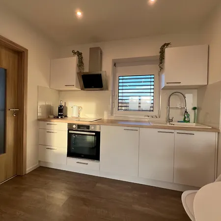 Rk Holzova Apartment Brno