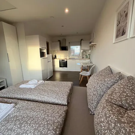 Rk Holzova Apartment Brno